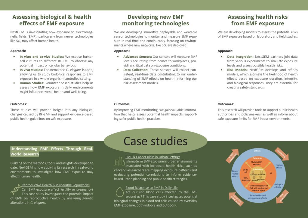 Click to see the triptych explaining our reseach